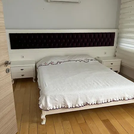Detached 800 Square Meter With Forest View In The